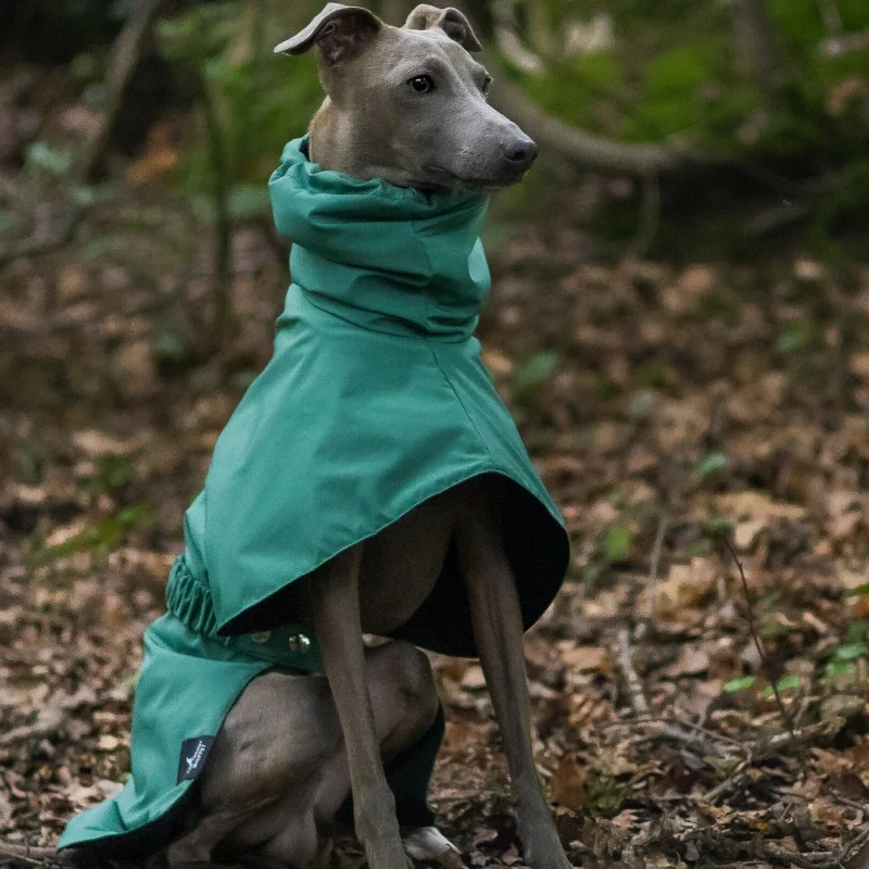 Chubasquero impermeable para perros de gran tamaño, impermeable de lujo para perros Whippet Greyhound, chaqueta, impermeable Doberman Pinscher para caminar al aire libre - imagen 2