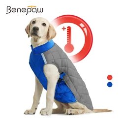 Abrigo impermeable para perro cómodo y resistente