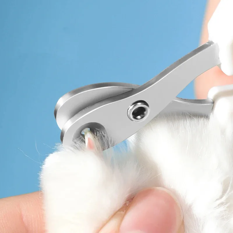 Cortauñas para mascotas, cortador de uñas de Agujero redondo de acero inoxidable, resistente al desgaste, recortador Circular doble para mascotas, pájaros y Reptiles - imagen 2