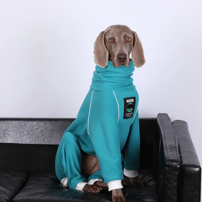 Ropa de moda para perros y niñas, mono grande para perros, Labrador, Golden Retriever, Dobermann, primavera e invierno - imagen 5