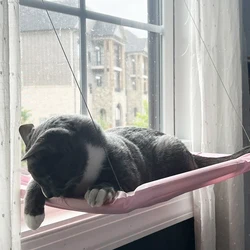 Hamaca colgante para gatos – Cama aérea con asiento de ventana soleado