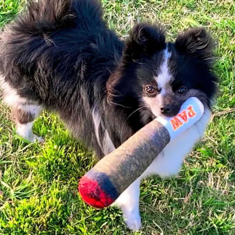 Juguetes de peluche chirriantes para medianos, pequeños y grandes, regalos bonitos rellenos geniales para cumpleaños de perros, juguetes para articulaciones de perros, divertidos y interactivos - imagen 2