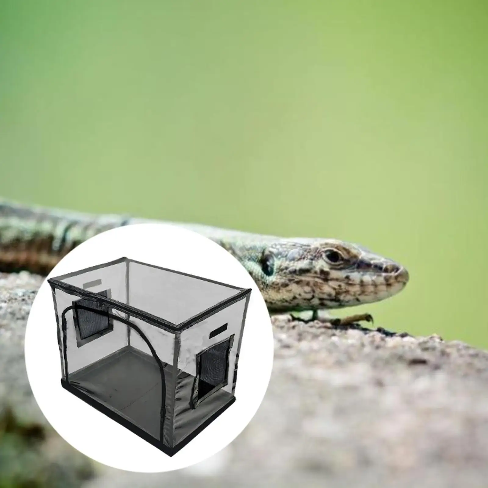 Reptile Feeding Box Easy to Observe Habitat Cage for Garden Farm Hermit Crab