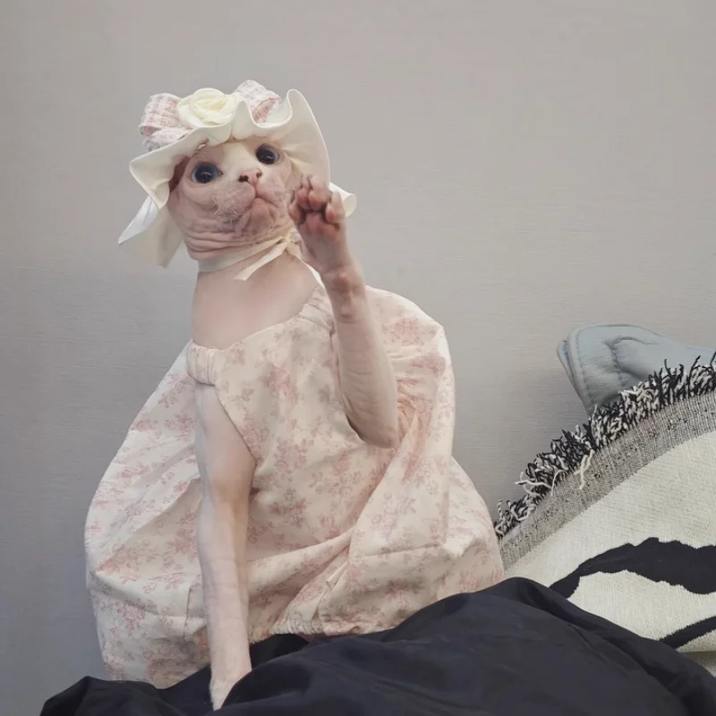 Falda Puffy de Algodón Rosa para Devon Rex, Vestido de Top Sin Mangas Suave y Transpirable para Gato Sin Pelo, Dulce Diadema de Encaje para Gato Sphynx