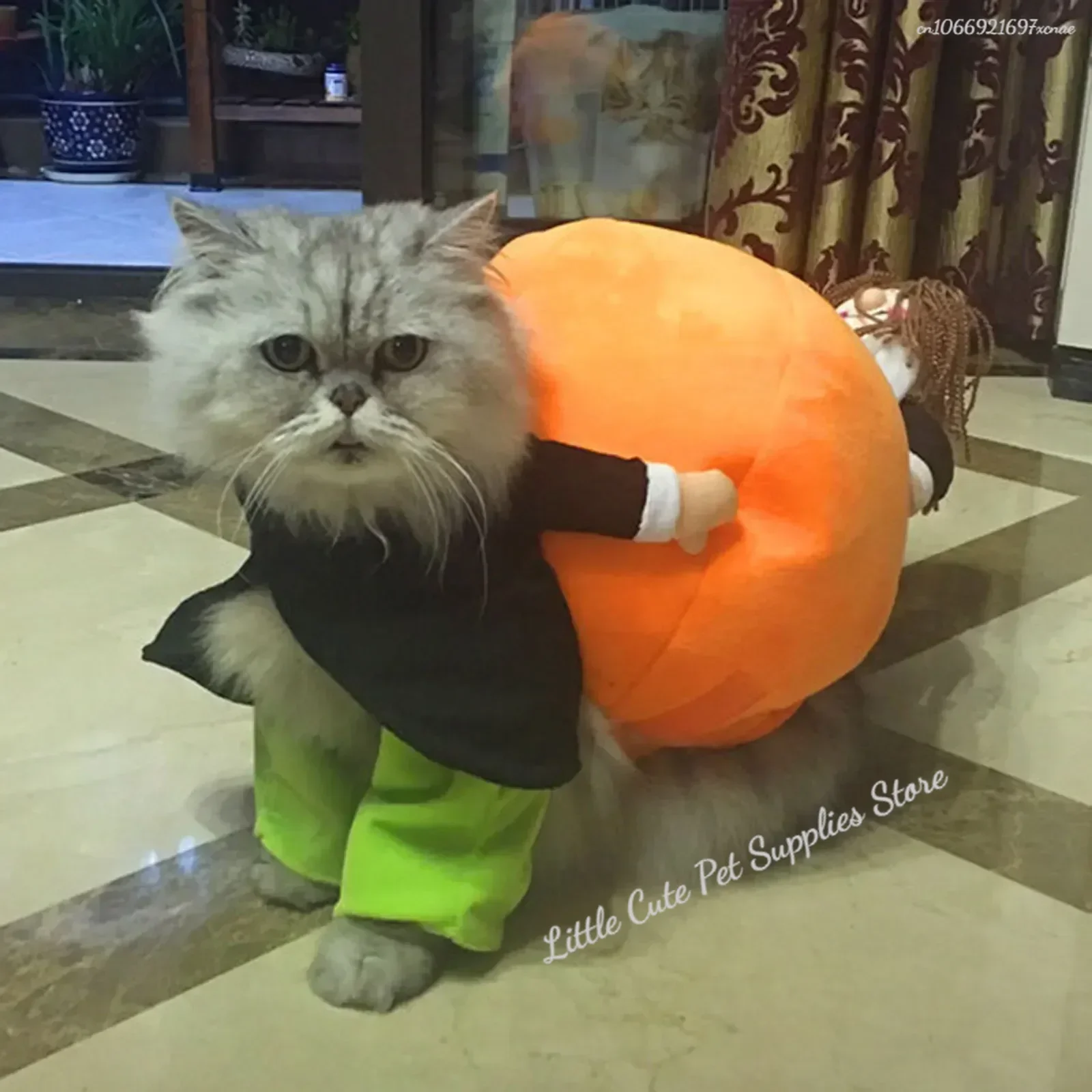 Ropa divertida de calabaza para Halloween, disfraz para gato y mascota, ropa para eventos especiales, traje para perro, disfraces de calabaza portadores bonitos - imagen 2