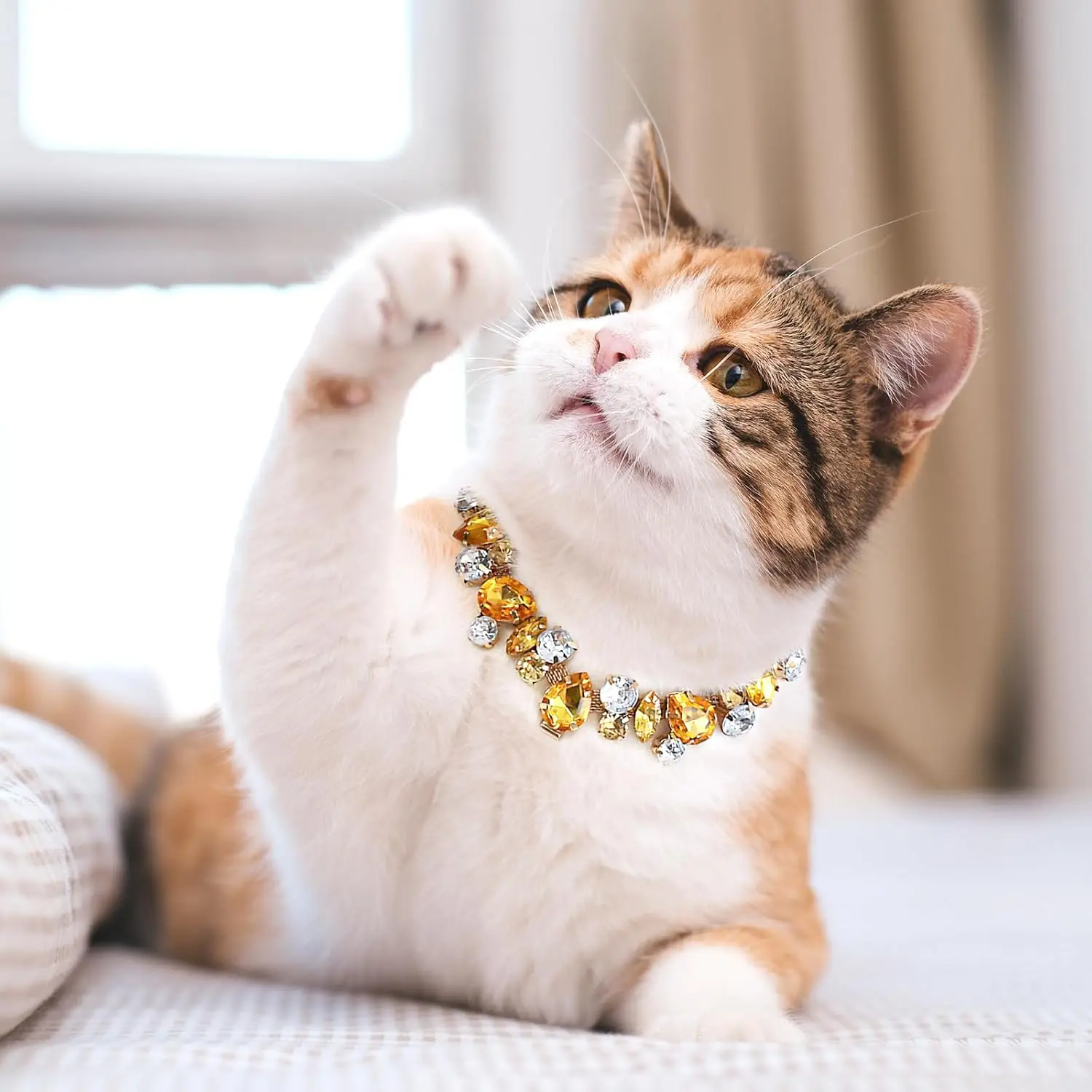 Accesorios de joyería de cristal para Gato, Collar ajustable de lujo con piedras preciosas ostentosas para cachorros y gatitos, a la moda - imagen 3
