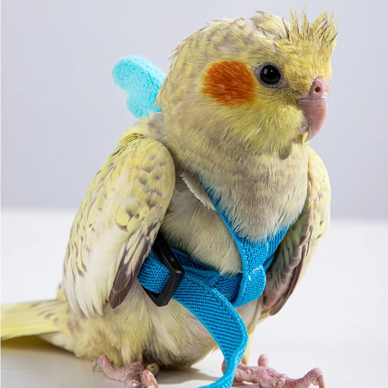 Arnés ajustable para loros y pájaros, conjunto de correa, arnés de entrenamiento antimordida, loros, cuerda voladora al aire libre, cacatúa, suministros para pájaros pequeños - imagen 2