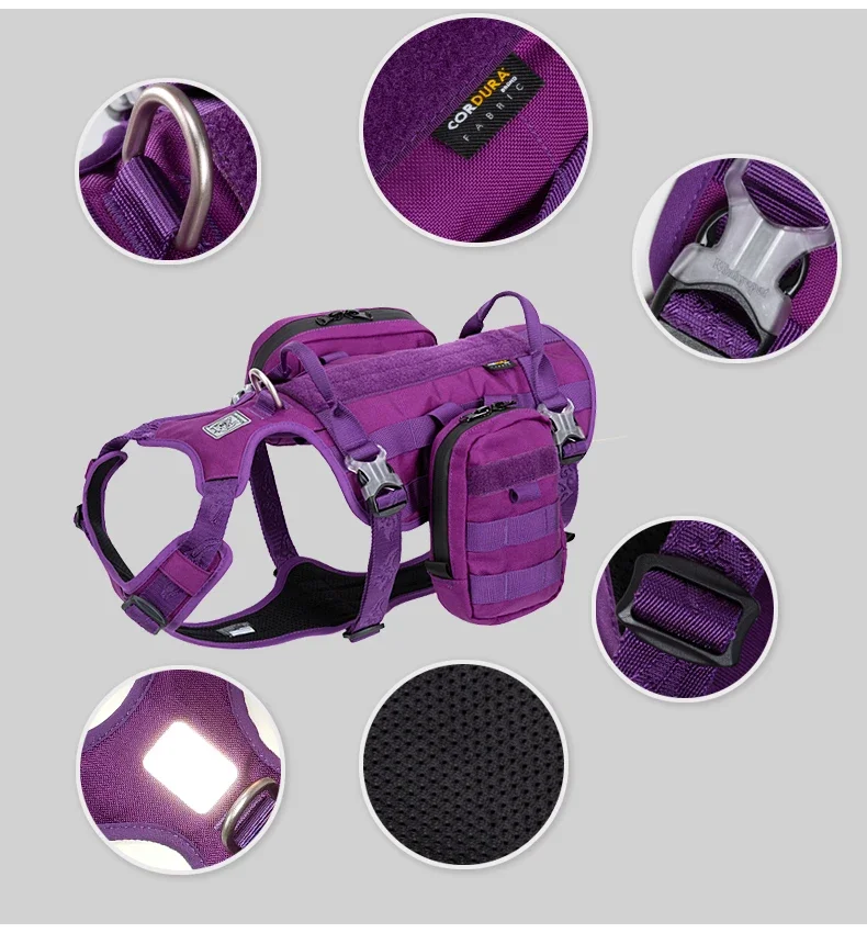 Equipo entrenamiento canino - Sistema completo