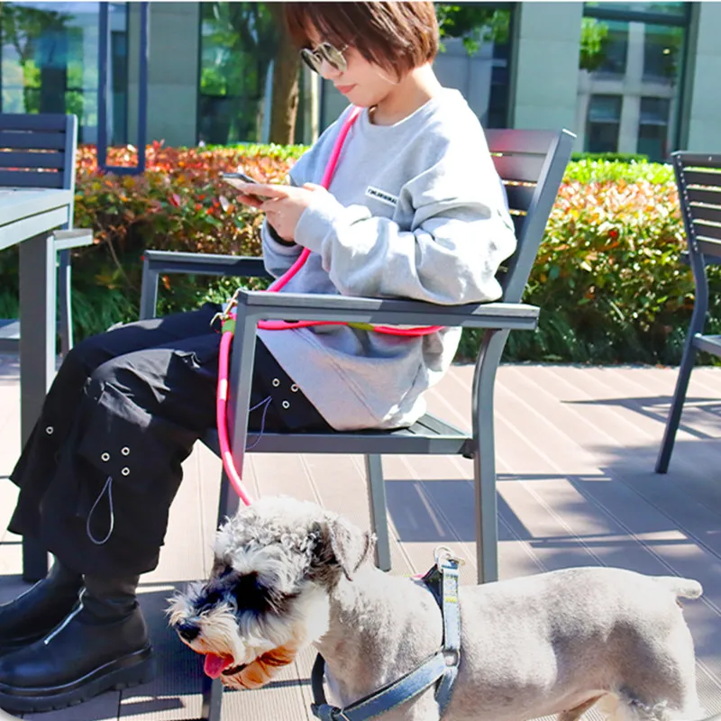 Correa de manos libres para perro, cadena reflectante para caminar, multifunción, hombro inclinado, accesorios para mascotas - imagen 3