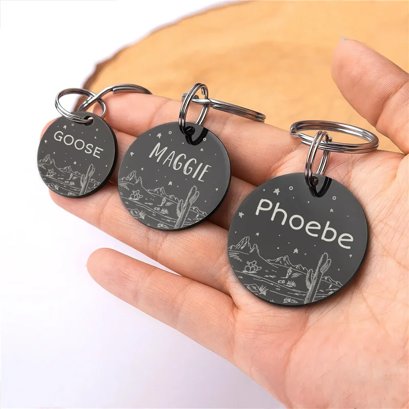 Etiqueta de identificación de perro y gato personalizada, estrellas del desierto con lindo Cactus grabado en la parte delantera y trasera para mascotas personalizadas, Collar de Metal antipérdida - imagen 2