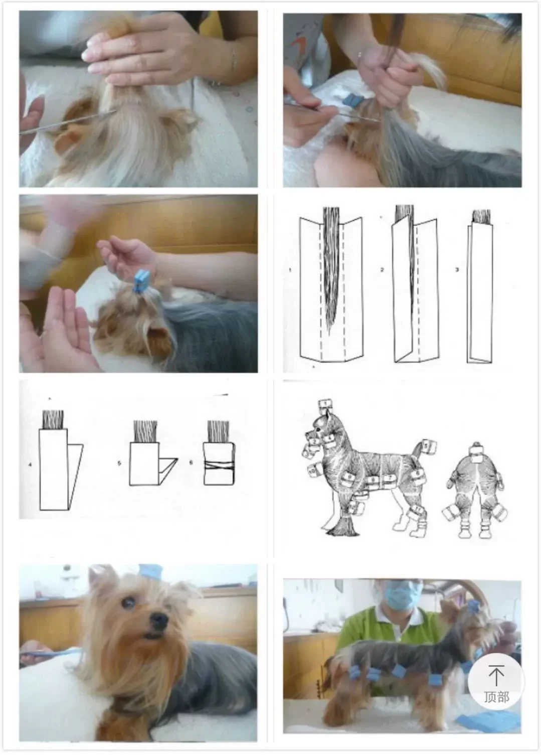 Bolsas de papel peluquería canina para perros Teddy y Maltese - imagen 5