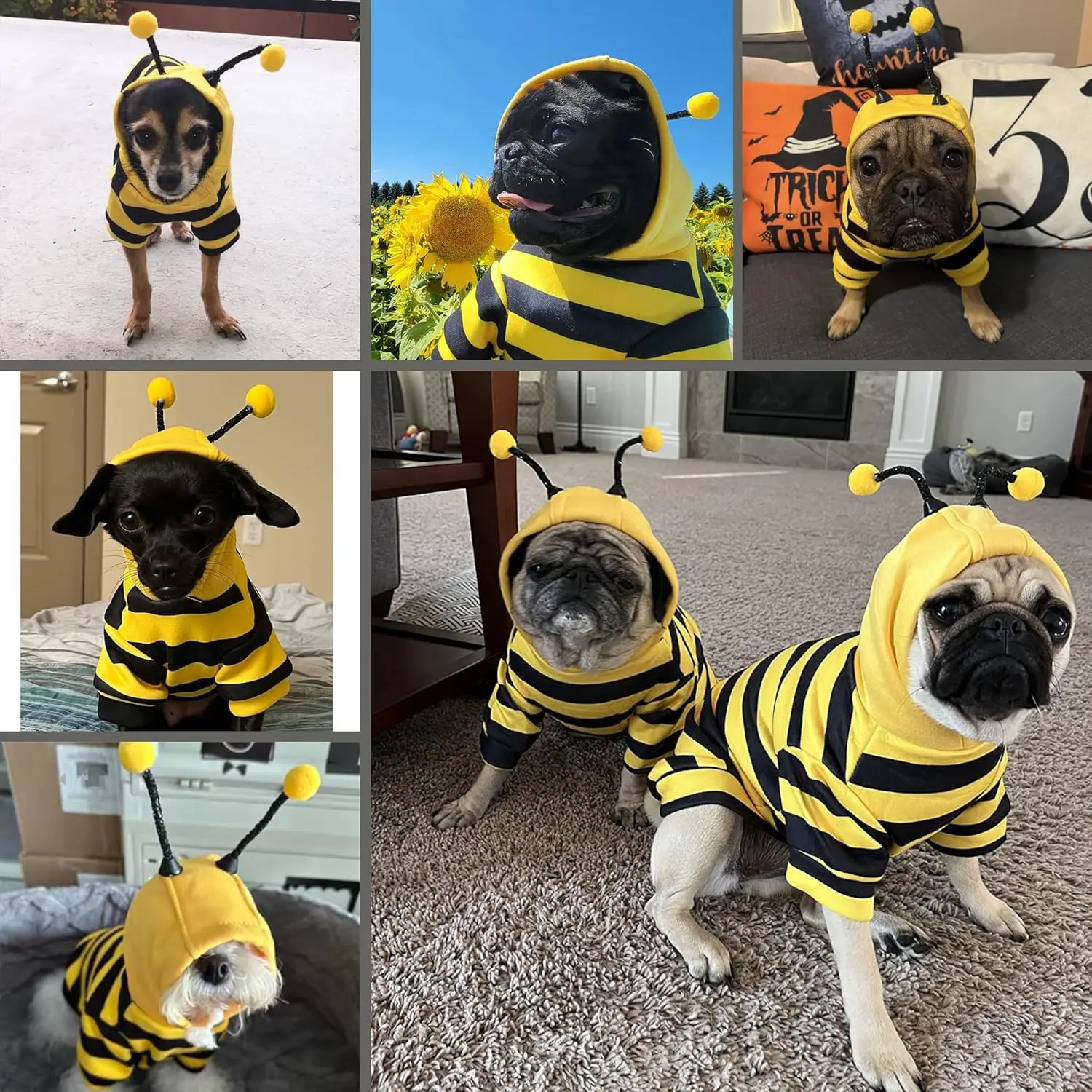 Lindo disfraz de abeja para perro de Halloween, sudaderas con capucha para perros pequeños y medianos, jersey a rayas para cachorros, abrigo con capucha, ropa para mascotas, otoño e invierno - imagen 5