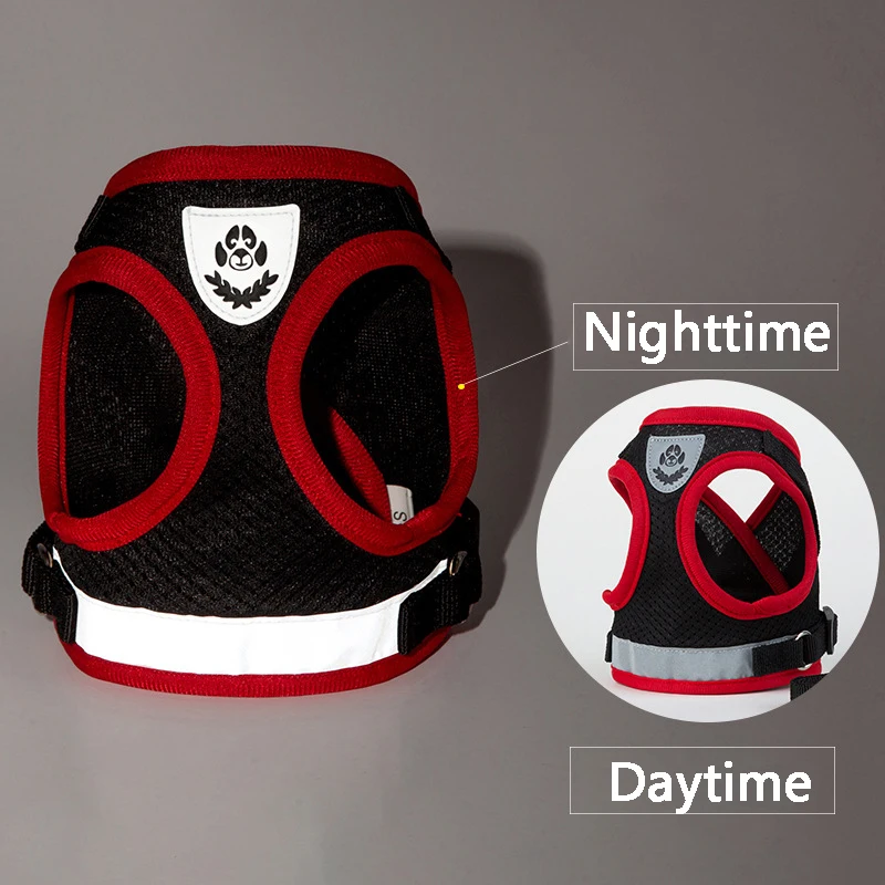 Conjunto Arnés y Correa para Mascotas Pequeñas - imagen 3