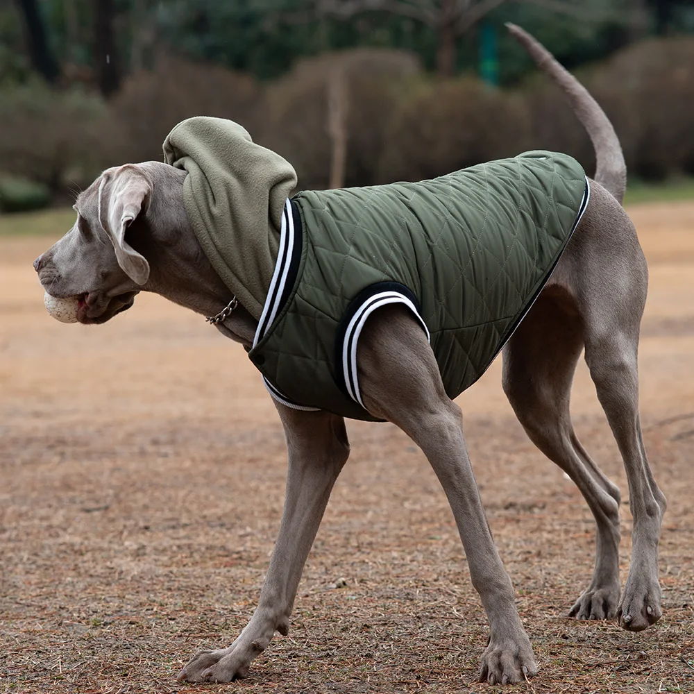 Chaqueta con capucha para perro grande, traje acolchado de lana cálida, ropa para perros pequeños, Otoño e Invierno, ropa para perros - imagen 5