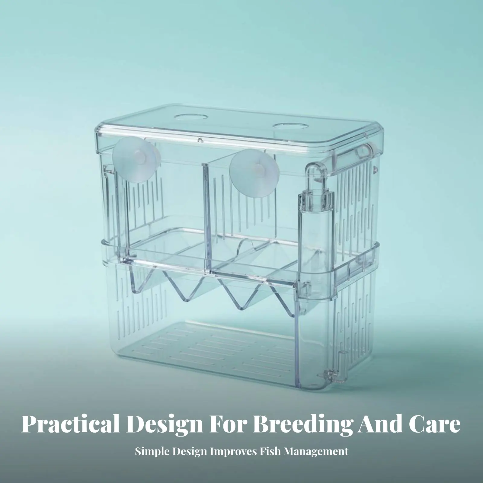 Caja de Cría Acuática Flotante para Bettas - Incubadora de Crías