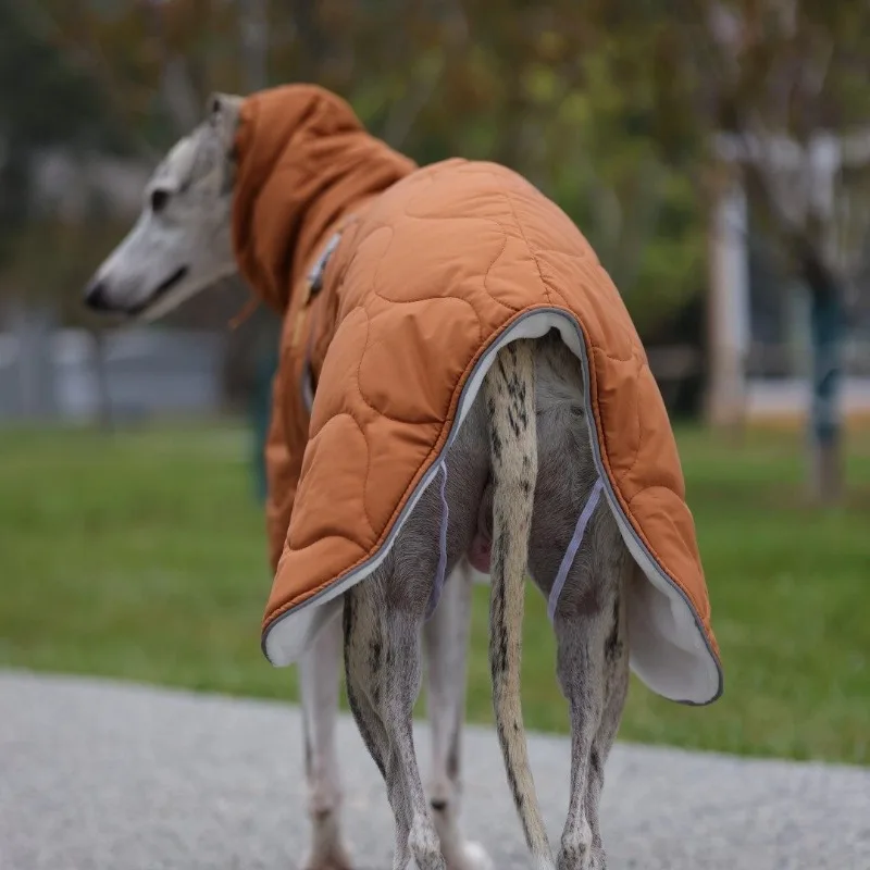 Abrigo cortavientos cálido con capucha para Whippet y Galgo - imagen 3