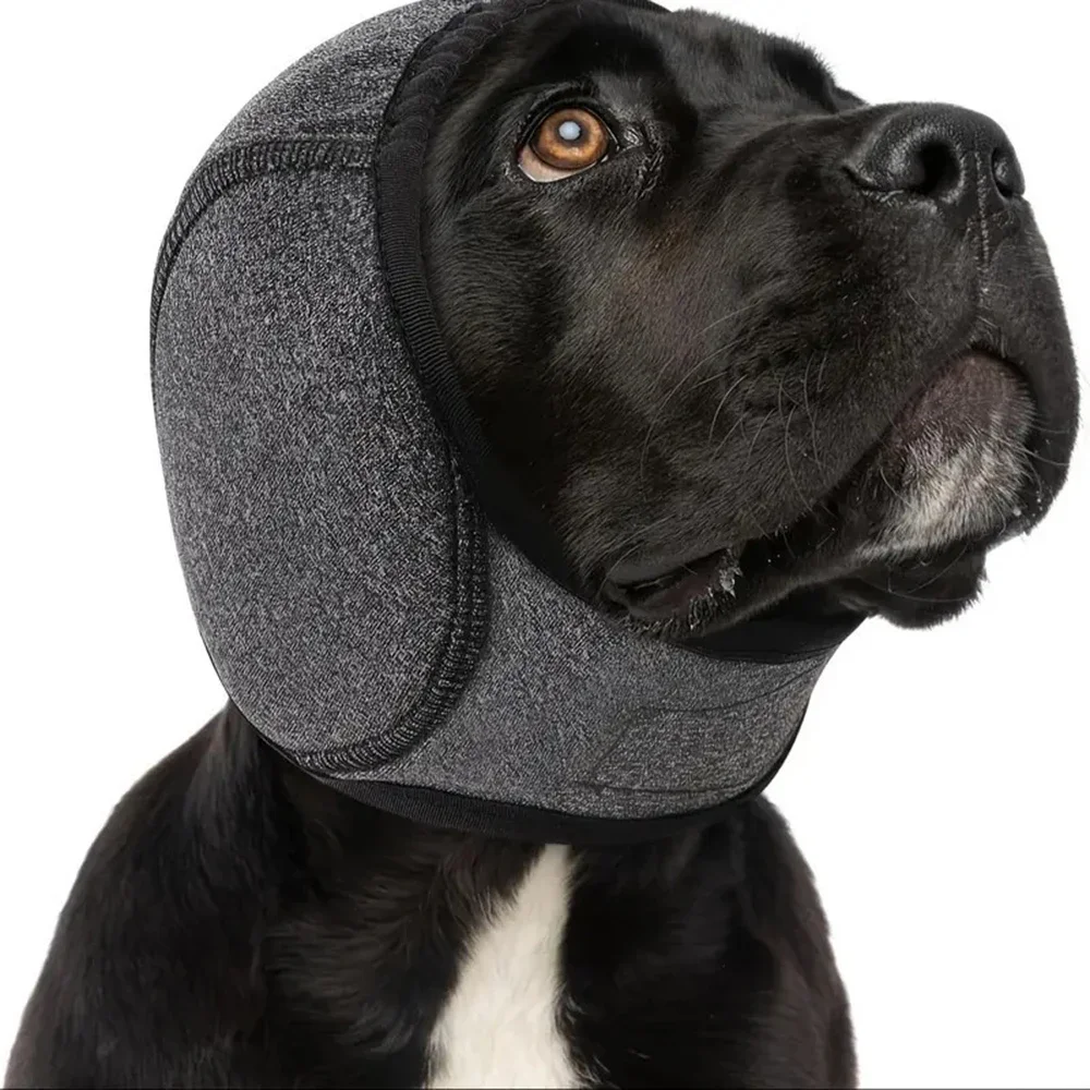 Orejeras para perros con reducción de ruido e impermeables para nadar