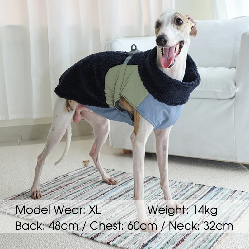 Chaqueta de invierno para perros, chaleco acolchado de lana de cordero, abrigo cálido de invierno para perros pequeños y grandes, ropa para perros con cremallera y hebilla de tracción - imagen 5
