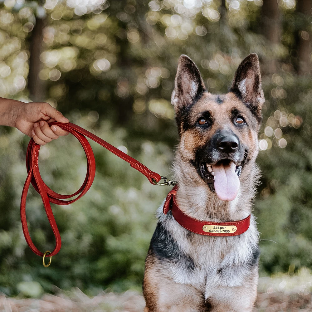 Collar de perro de cuero auténtico, conjunto de correa, Collar personalizado para mascotas con correa, placa con grabado gratis para perros pequeños, medianos y grandes - imagen 4