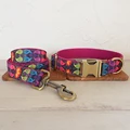 Dog Collar Leash Set