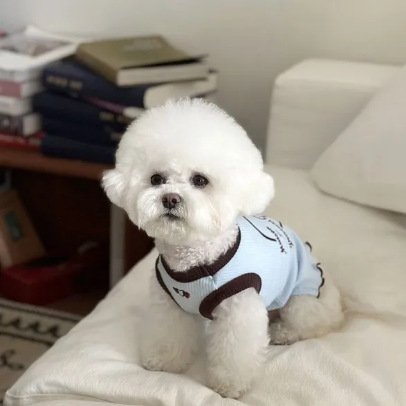 Camiseta de tirantes con oso bordado para gatos y perros pequeños