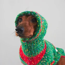 Conjunto de Navidad para perros salchicha – Jersey y sombrero