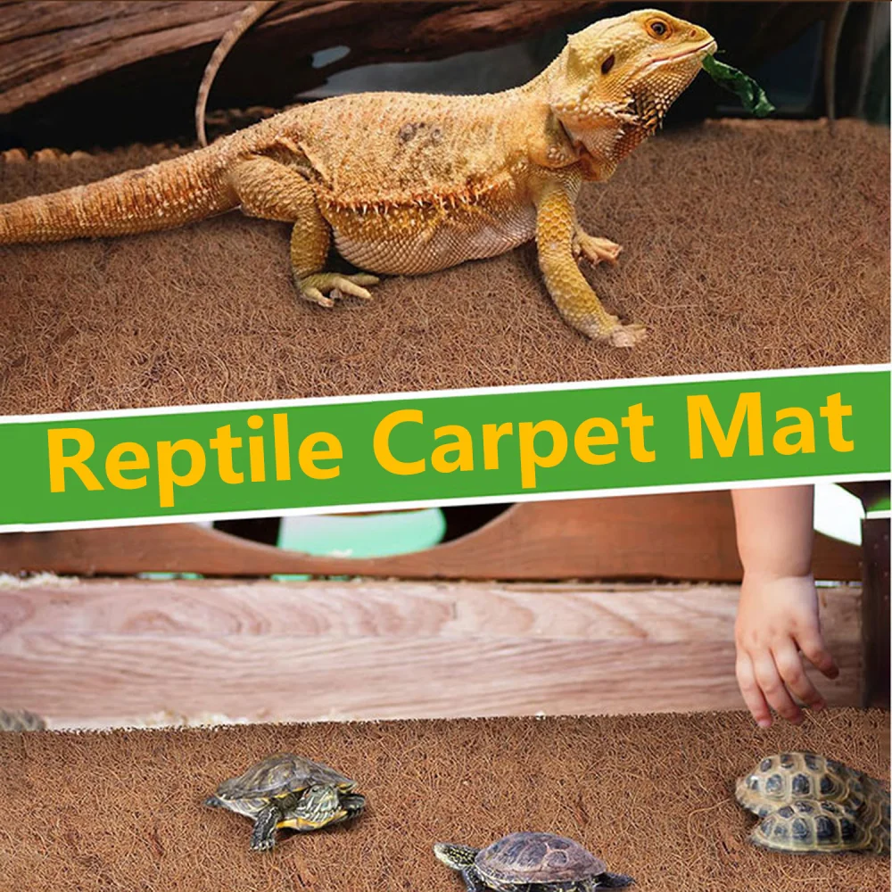 Estera Natural para gatear para mascotas, caja de cría de tortugas, paisajismo, tanque de selva tropical, paisaje, estera de Palma de coco Natural, 30x30cm, 1 ud.