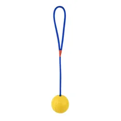 Pelota interactiva con cuerda para perro, juguete de tirar y tirar para perros pequeños, juego de ejercicio en interiores y exteriores
