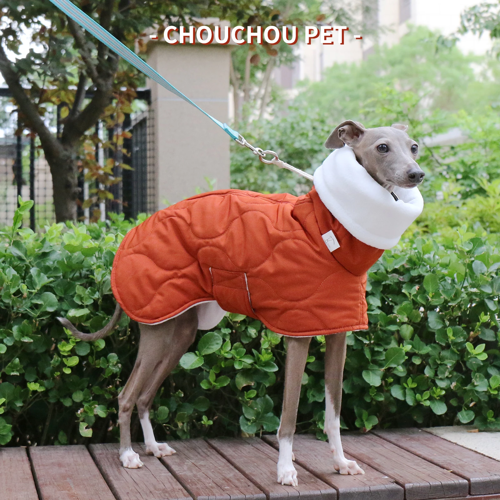Abrigo de algodón con cuello alto de invierno, resistente al viento, impermeable, abrigo cálido para perros, galgo italiano, ropa para mascotas Whippet, Color naranja - imagen 4