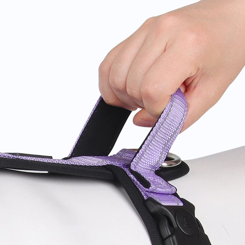 Arnés para perros pequeños y medianos, sin tirones, para caminar, senderismo, mascotas con asa, suministros para mascotas, Corgi, Shiba, Inu, Pug - imagen 5