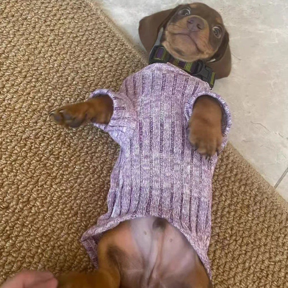 Ropa de pijama cálido para perros dachshund pequeños – púrpura - imagen 4