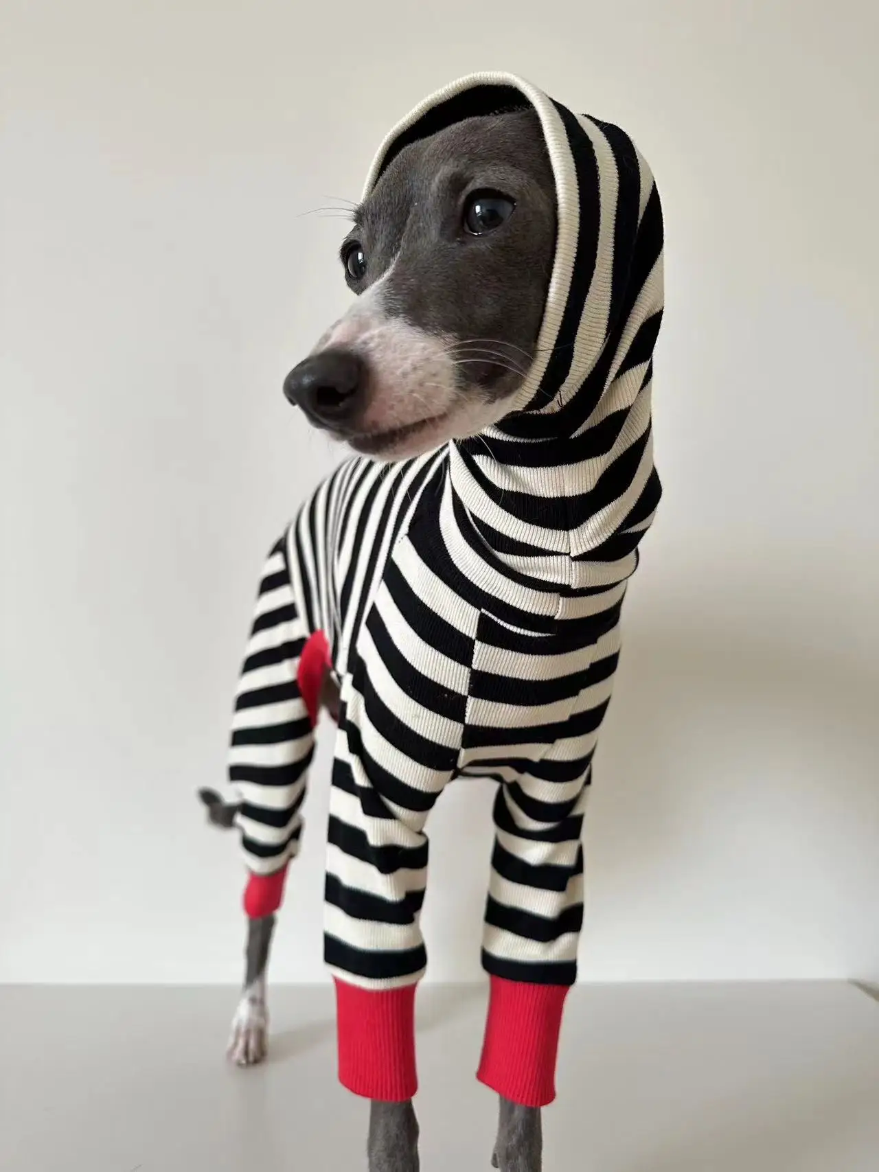 Ropa italiana de cuatro patas a rayas de galgo, ropa suave y elástica para whippet, ropa cálida de invierno para perros - imagen 5