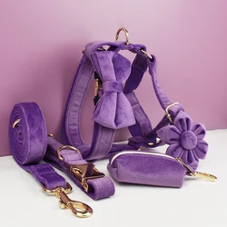 Set de collar y correa de terciopelo morado para perros con plaquegrabada