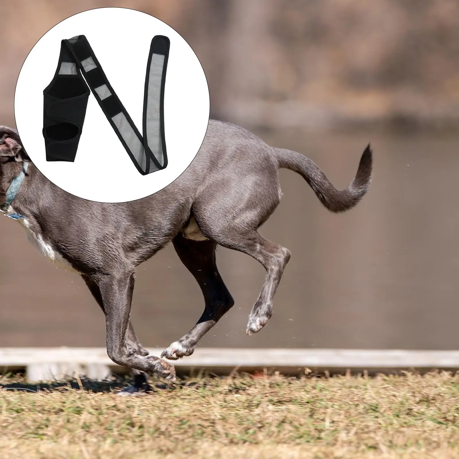 pet Rear Leg Hock Protective Sleeve Support Compression Wrap Knee Pad Protects Wounds for Prevents Injuries