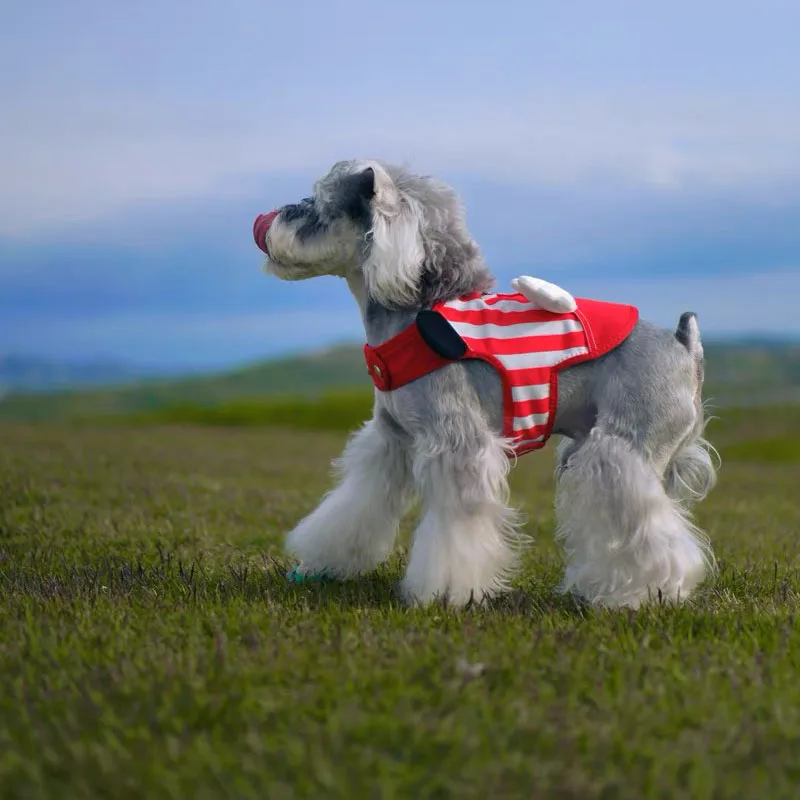 Chaleco con arnés para mascotas de lujo con alas, chaleco de malla transpirable, chaleco ajustable para perros pequeños y gatos, arnés, correa, suministros para mascotas Pug - imagen 3