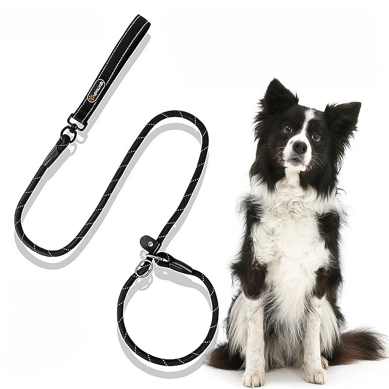 Correa de adiestramiento para perros 2 en 1 Forma P 150 cm con cadena - imagen 2