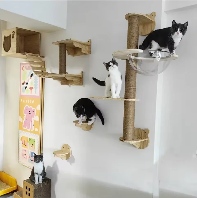 Cuerda trepar gatos pared con escalones madera maciza y sisal - imagen 5