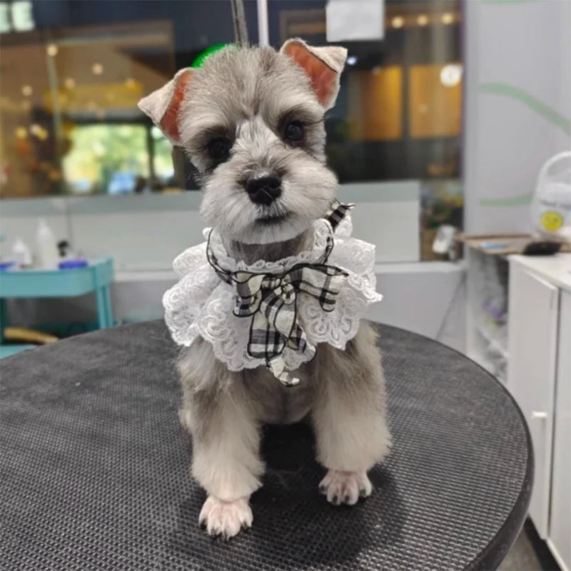 Collar de perro con perlas, joya de seda para boda, gato, cachorro, cinta, bufanda, colgante, Collar con lazos para mascotas, accesorios de satén para nuevo gatito, pajarita de regalo - imagen 3