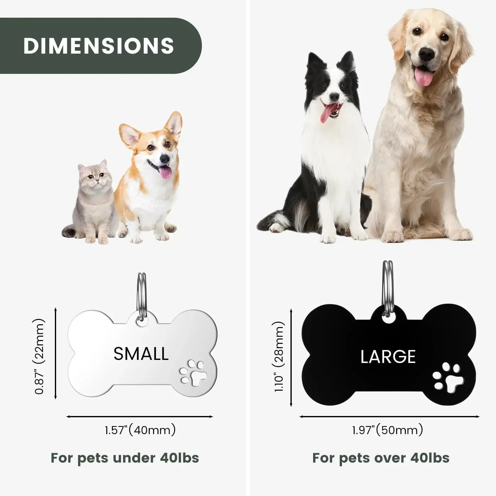 Etiqueta de identificación de perro personalizada, grabado gratis, nombre Tel, collares antipérdida de acero inoxidable, placa de identificación para dirección de perro, etiqueta personalizada para mascotas - imagen 2
