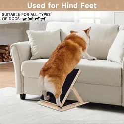 Tabla rascadora perros madera maciza – Dispensador golosinas retráctil