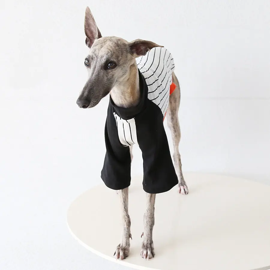 Camiseta algodón manga larga para galgo y whippet – Pijama perro