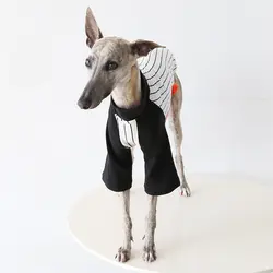 Camiseta algodón manga larga para galgo y whippet – Pijama perro