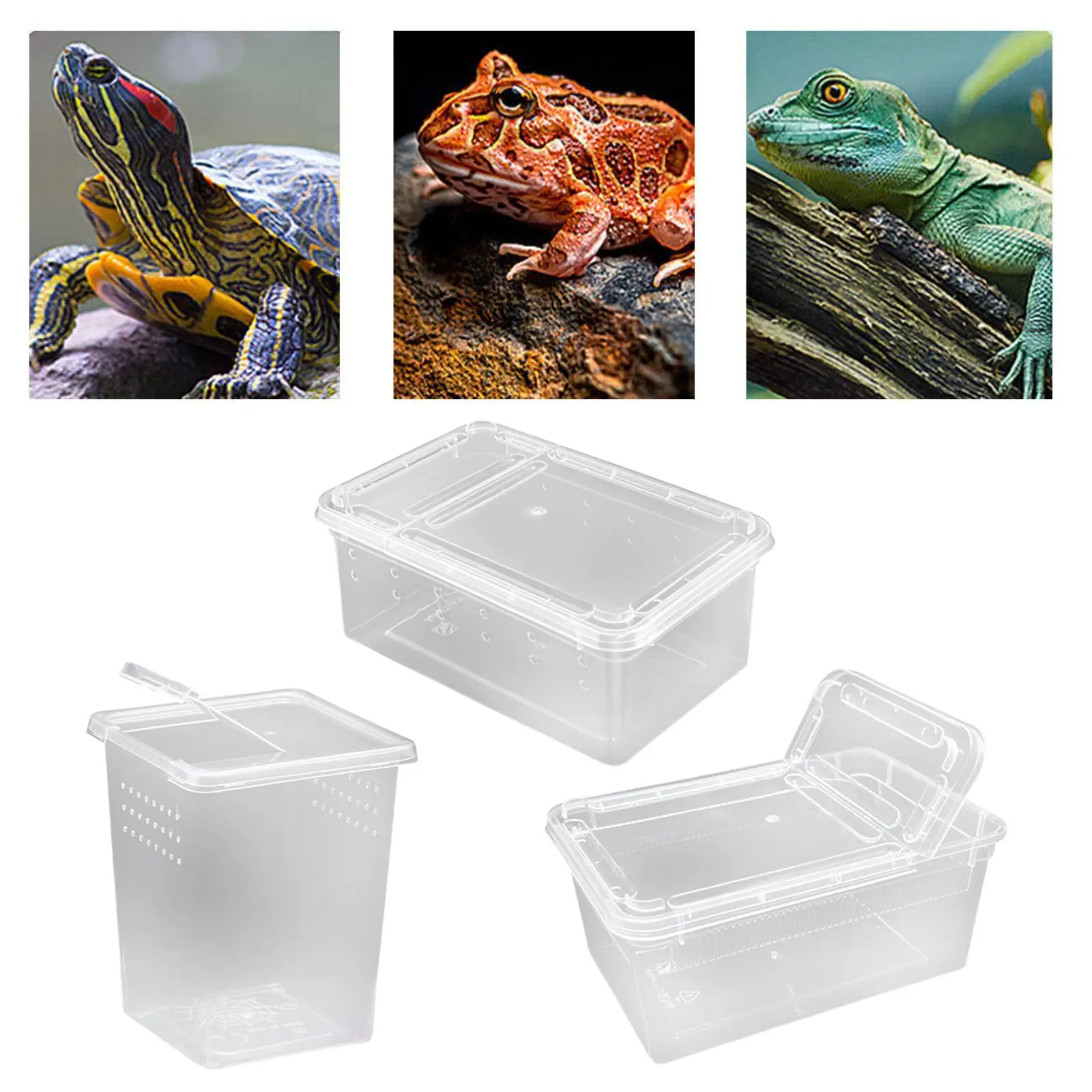 Reptile Feeding Box with Cover Case Breeding Box for Gecko Centipedes Snails