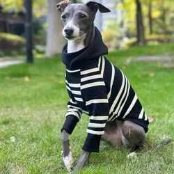 Jersey a rayas con capucha para perros Bedlington y Galgo Italiano
