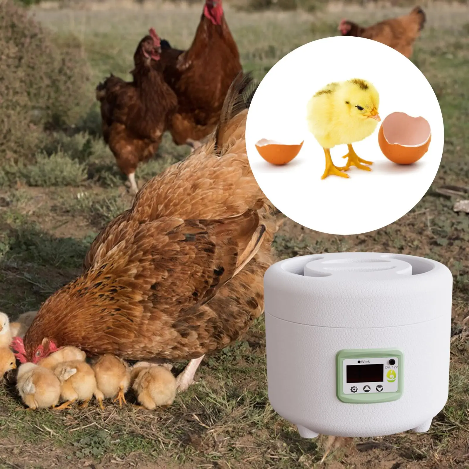 Small Brooder Digital Temperature Automatic Mini Hatchery Eggs Incubator Hatcher for Chicken Birds Hatcher