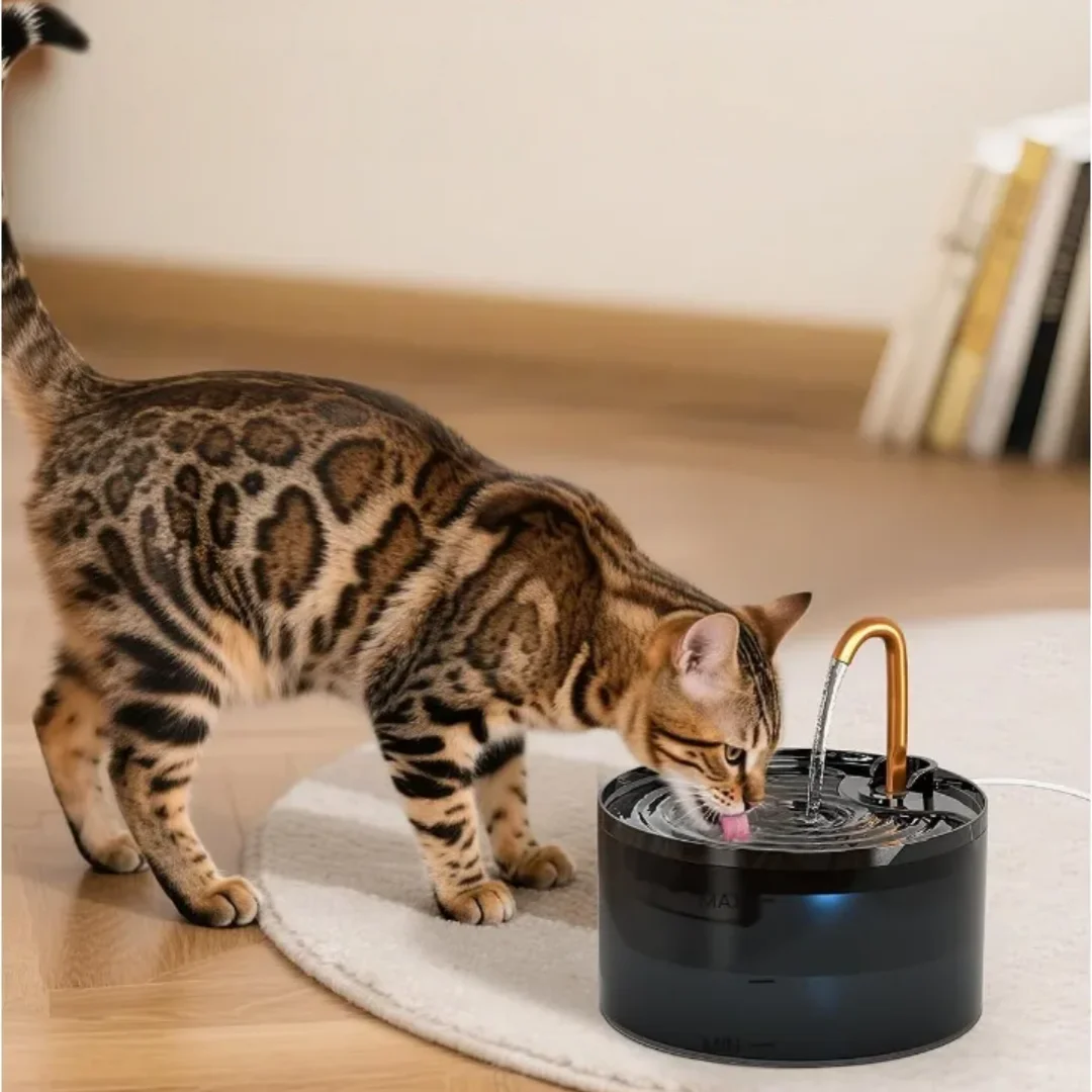 Fuente automática de agua silenciosa para gatos con filtro LED