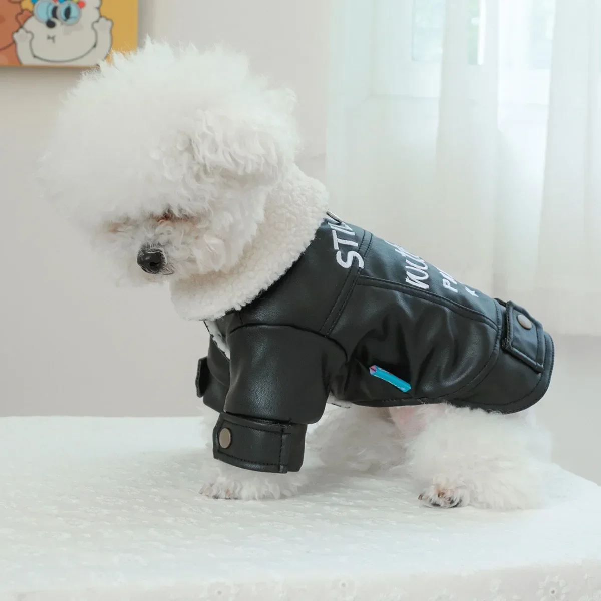 Abrigo de piel con cuello de piel para mascotas, abrigo de felpa bordado para otoño e invierno, chaqueta gruesa y cálida de felpa para gatos, ropa para cachorros - imagen 3