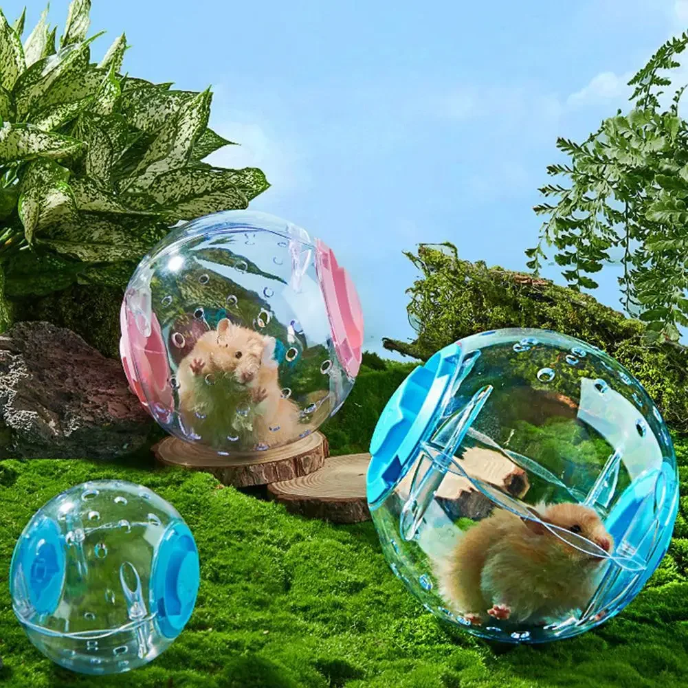 Pelota deportiva transparente para rata, ratones pequeños para mascotas, pelota para correr, juguete para hámster, gerbil, pelota de ejercicio, juguete para juego, suministros para mascotas pequeñas