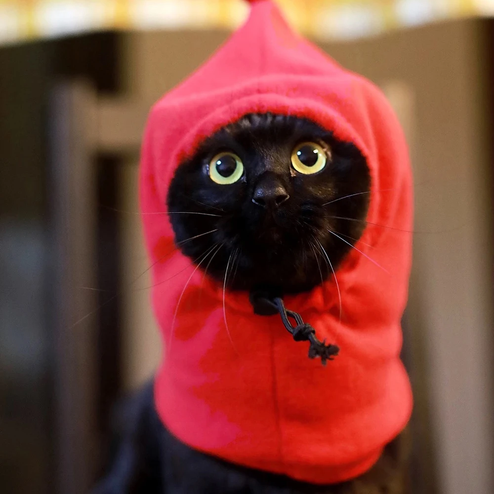 Gorro para cachorros y gatos, gorro cálido de lana para mascotas, accesorios para perros pequeños, gatos y gatitos, sombreros Sphynx ajustables de cuello alto, otoño e invierno - imagen 3