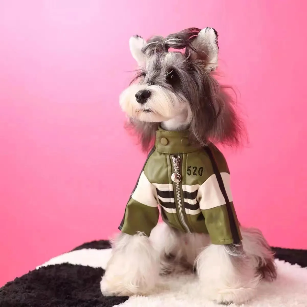 Ropa de otoño e invierno para perros, chaqueta Yorkshire Schnauzer, oso de peluche, abrigo para perros, ropa para cachorros, ropa de diseñador para perros, abrigo de invierno - imagen 4